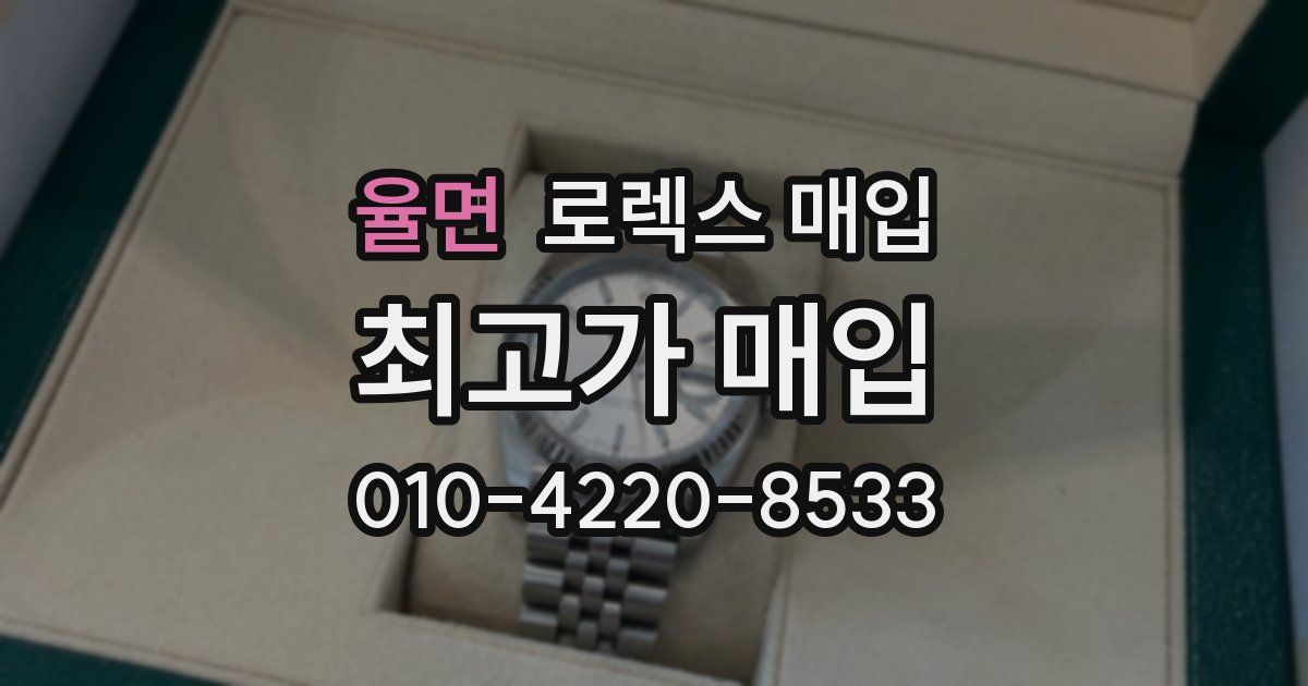 율면 로렉스 매입