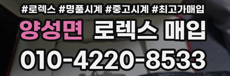 양성면 로렉스 매입