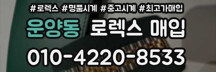 운양동 로렉스 매입