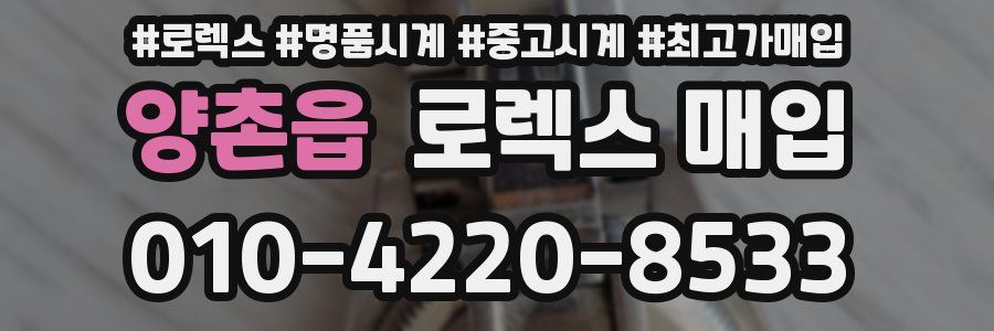 양촌읍 로렉스 매입