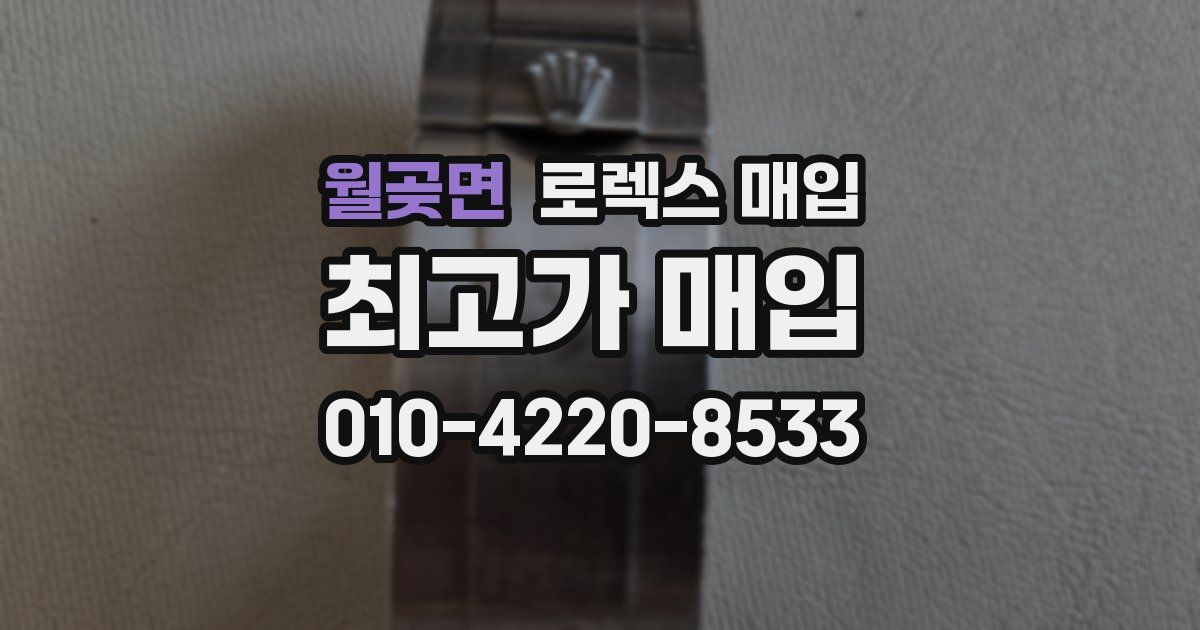 월곶면 로렉스 매입