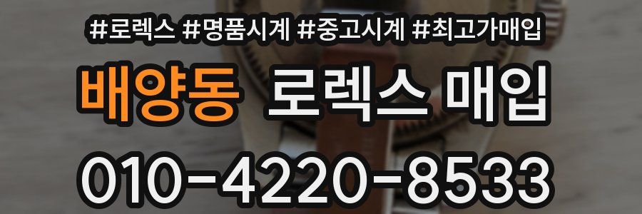 배양동 로렉스 매입