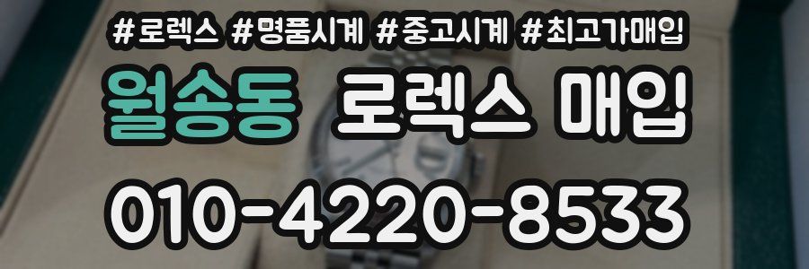 월송동 로렉스 매입