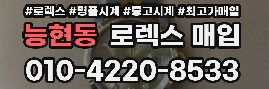 능현동 로렉스 매입