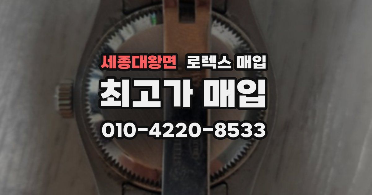 세종대왕면 로렉스 매입