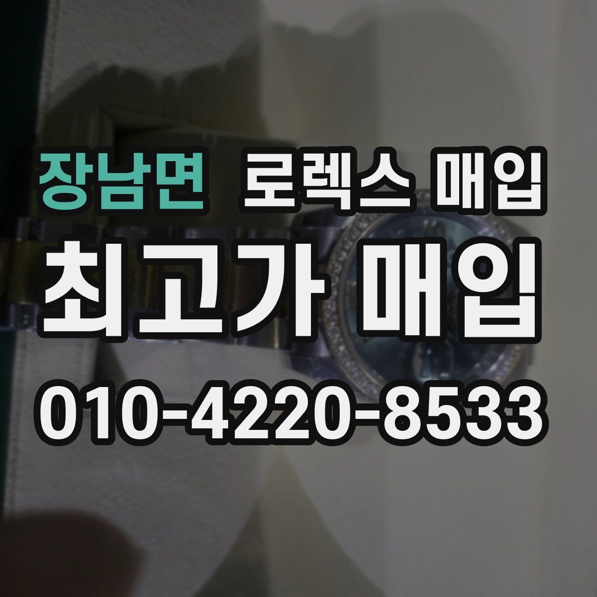 장남면 로렉스 매입