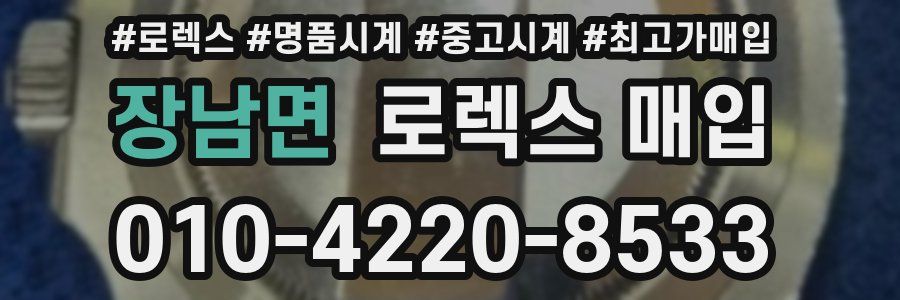 장남면 로렉스 매입