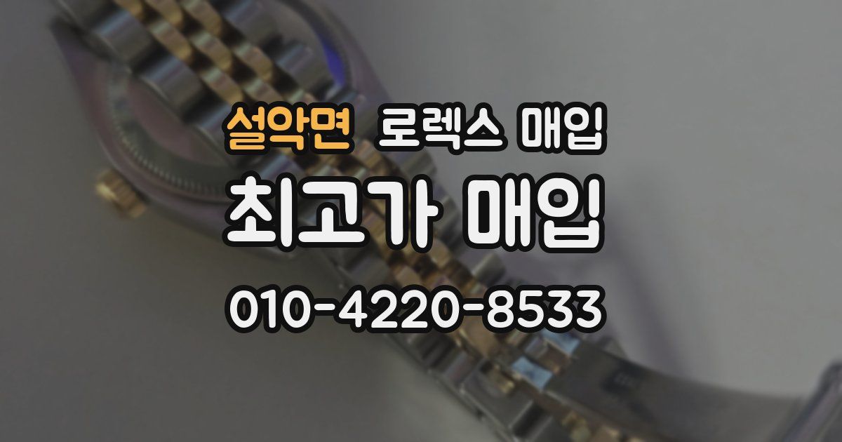 설악면 로렉스 매입