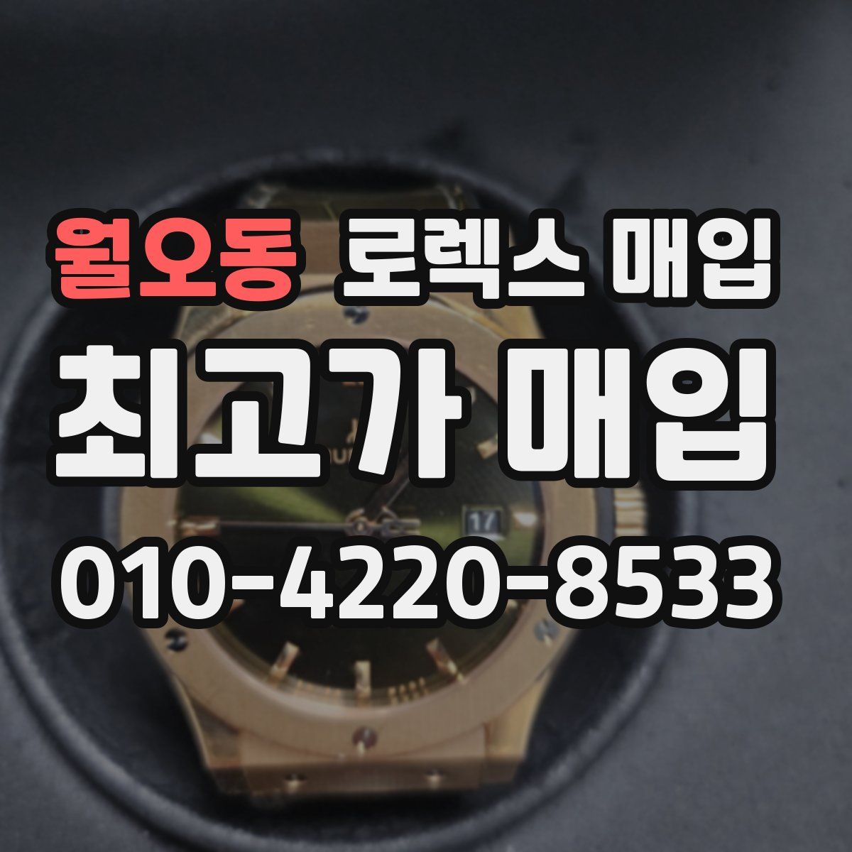 월오동 로렉스 매입
