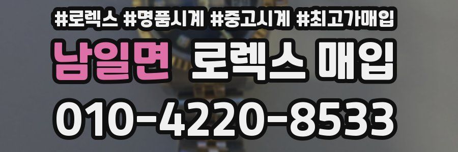 남일면 로렉스 매입