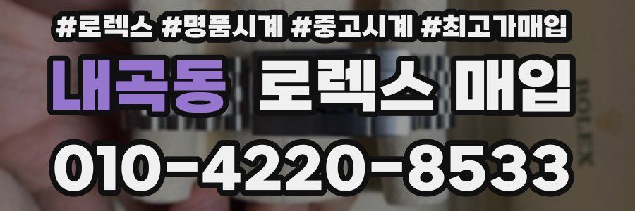 내곡동 로렉스 매입