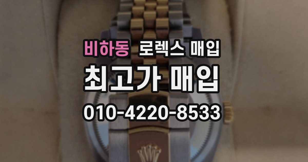 비하동 로렉스 매입