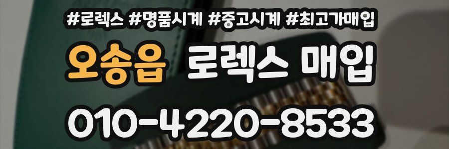 오송읍 로렉스 매입