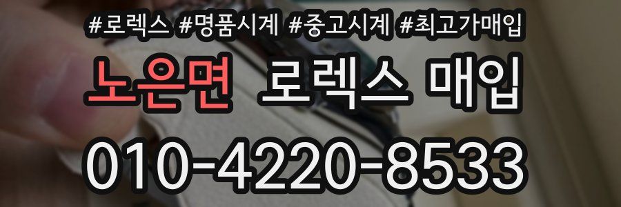 노은면 로렉스 매입