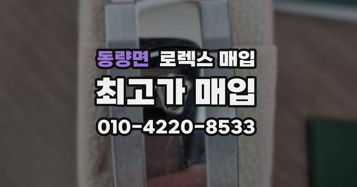 동량면 로렉스 매입