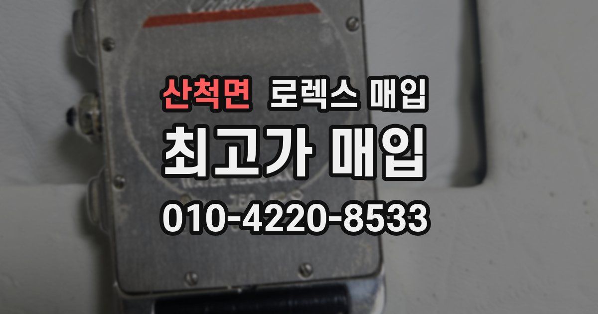 산척면 로렉스 매입