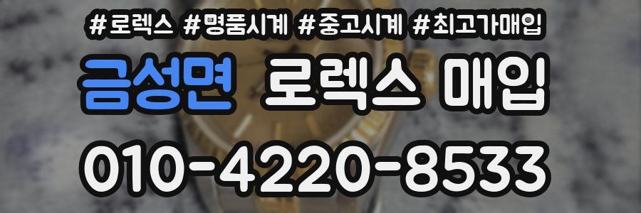 금성면 로렉스 매입