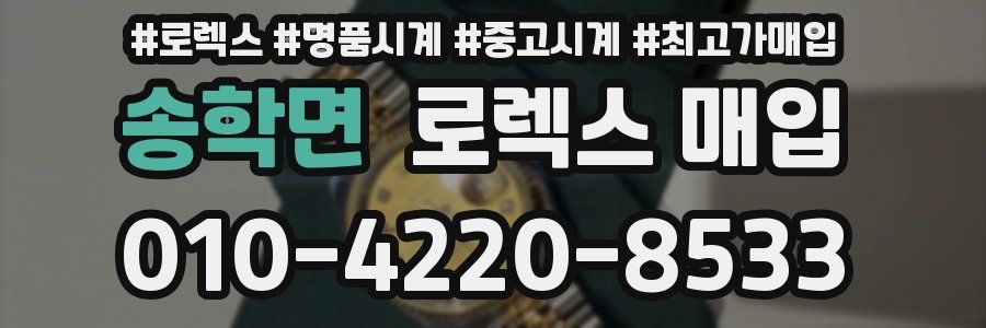 송학면 로렉스 매입