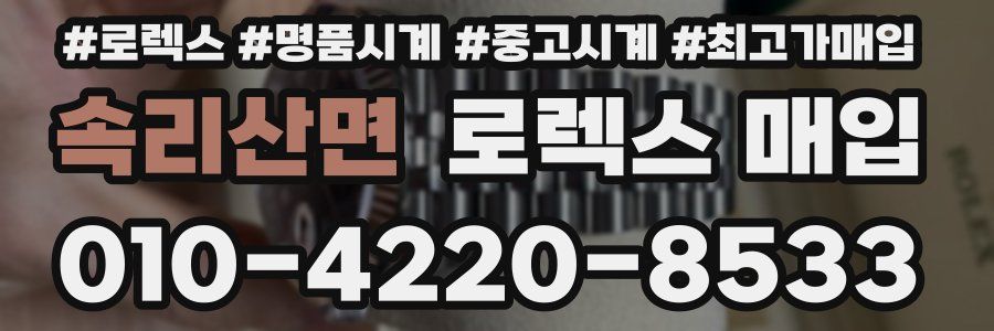 속리산면 로렉스 매입