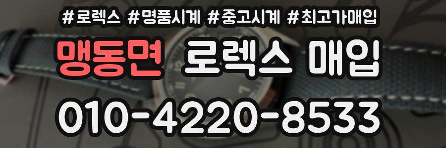 맹동면 로렉스 매입