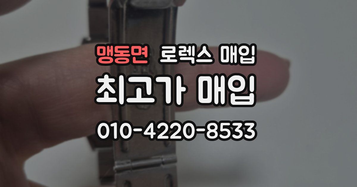 맹동면 로렉스 매입