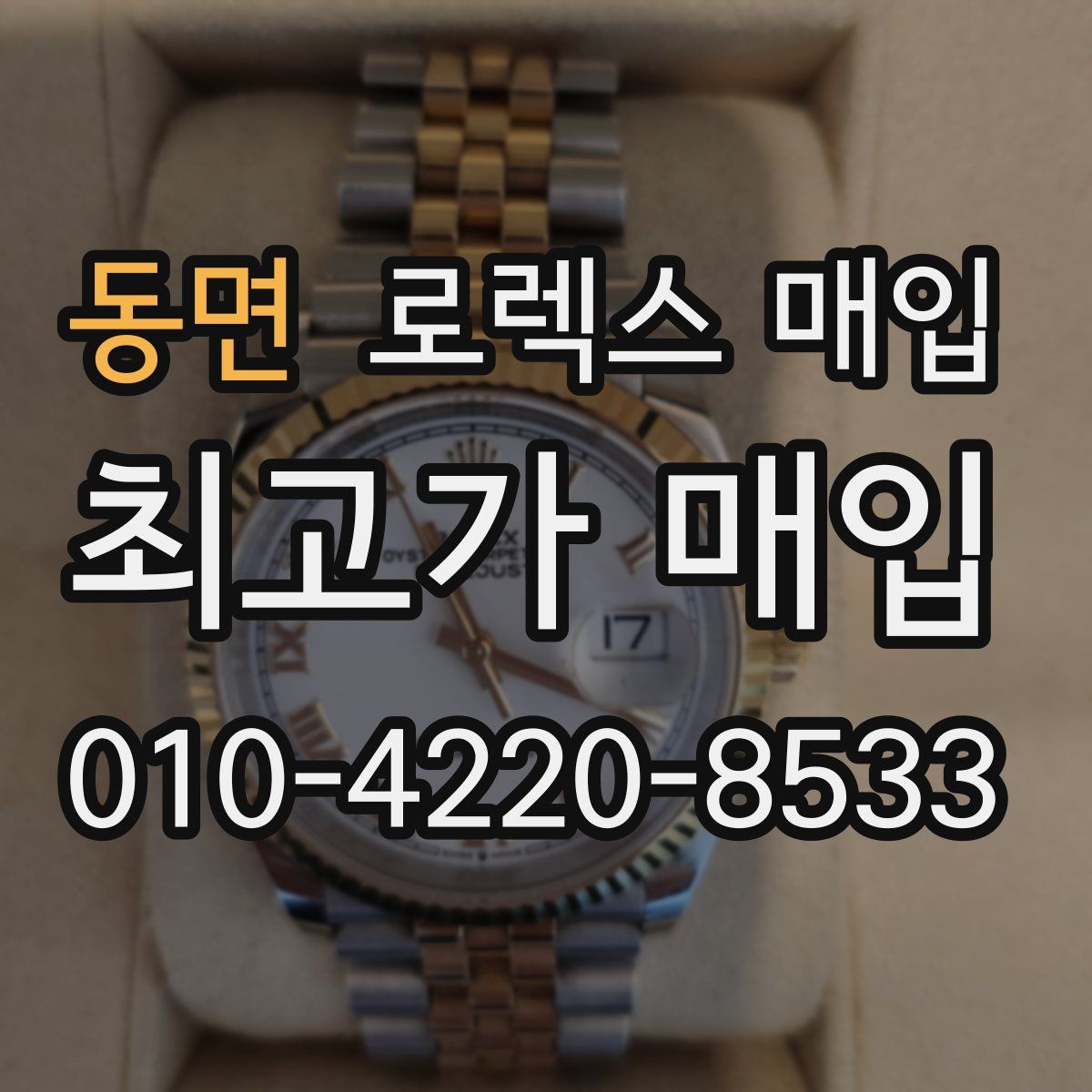 동면 로렉스 매입