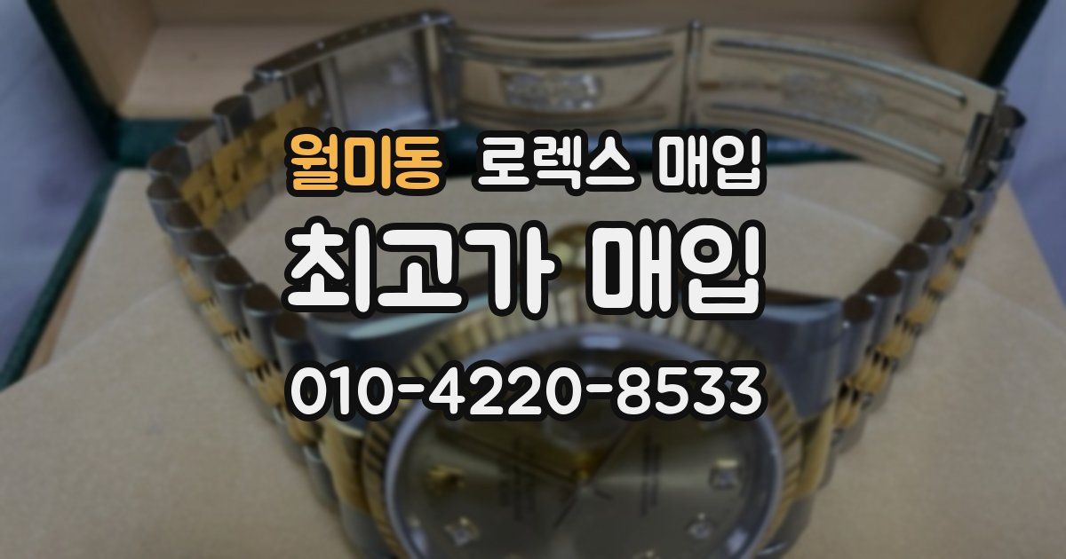 월미동 로렉스 매입