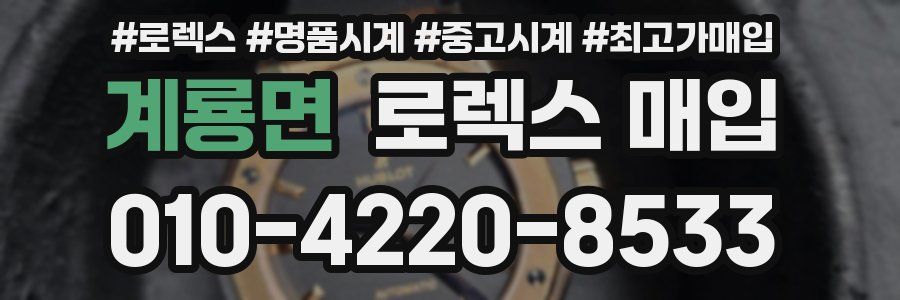 계룡면 로렉스 매입