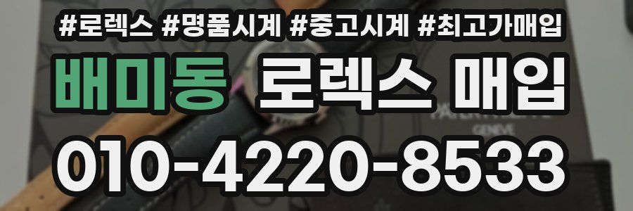 배미동 로렉스 매입