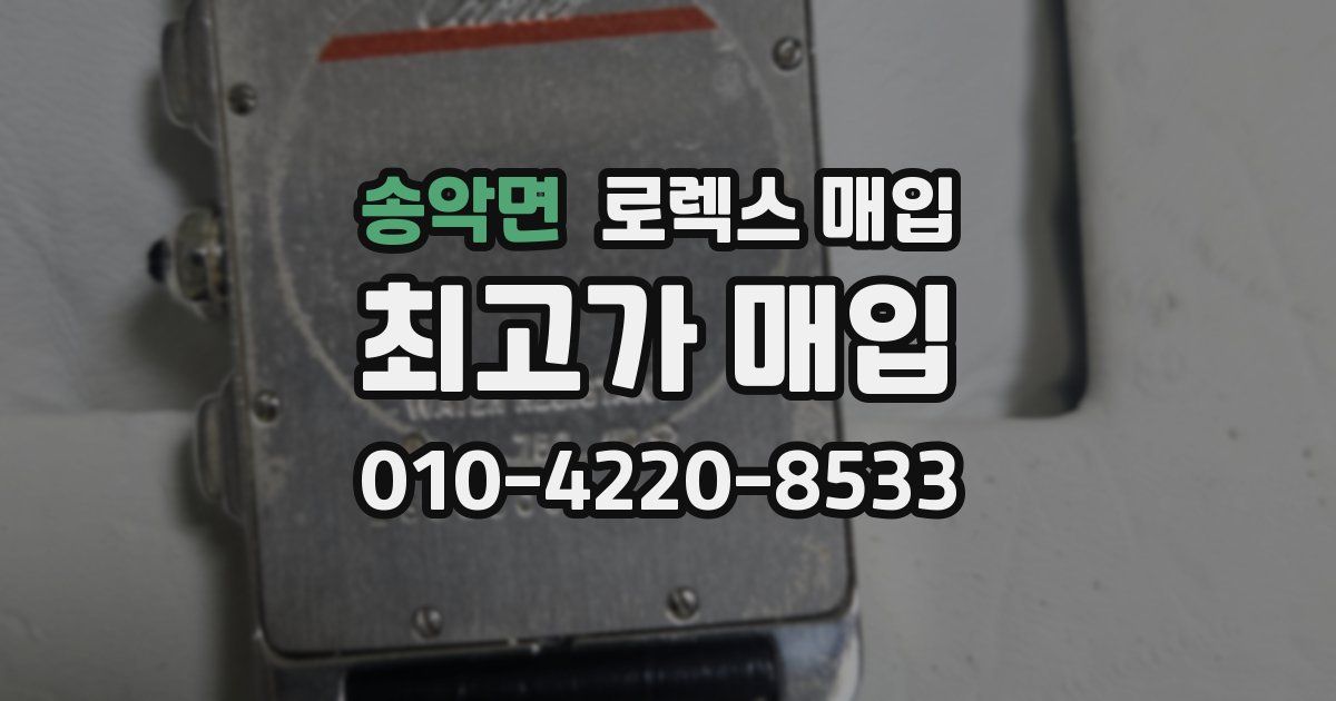 송악면 로렉스 매입