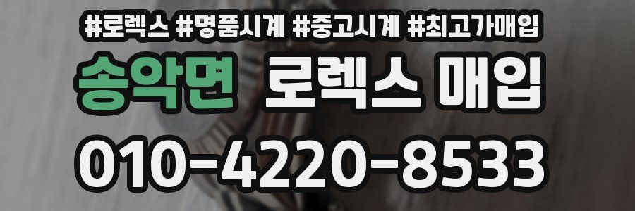 송악면 로렉스 매입