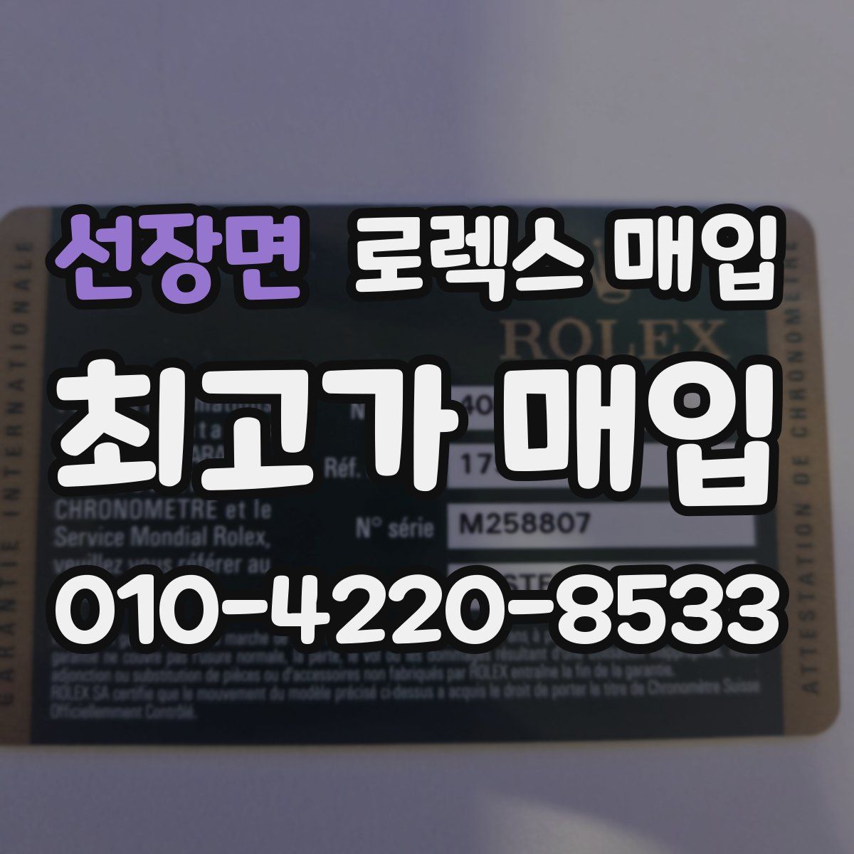 선장면 로렉스 매입