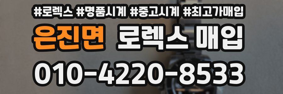 은진면 로렉스 매입