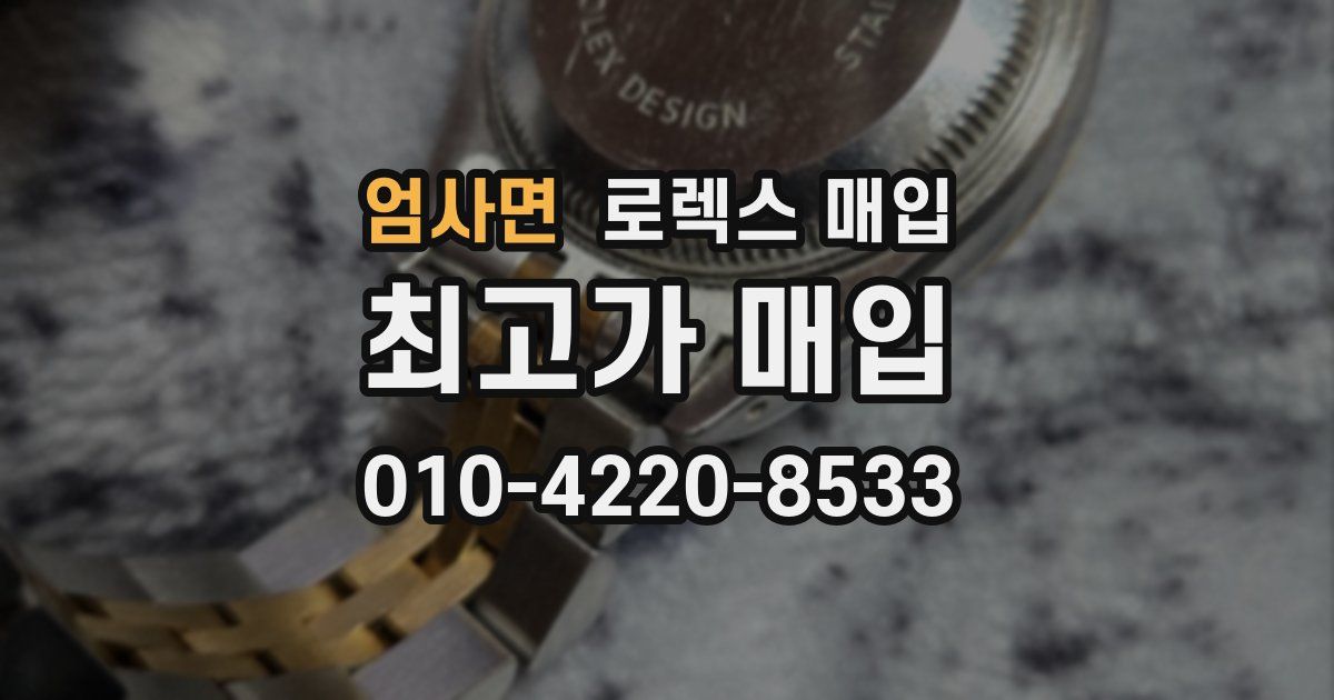 엄사면 로렉스 매입