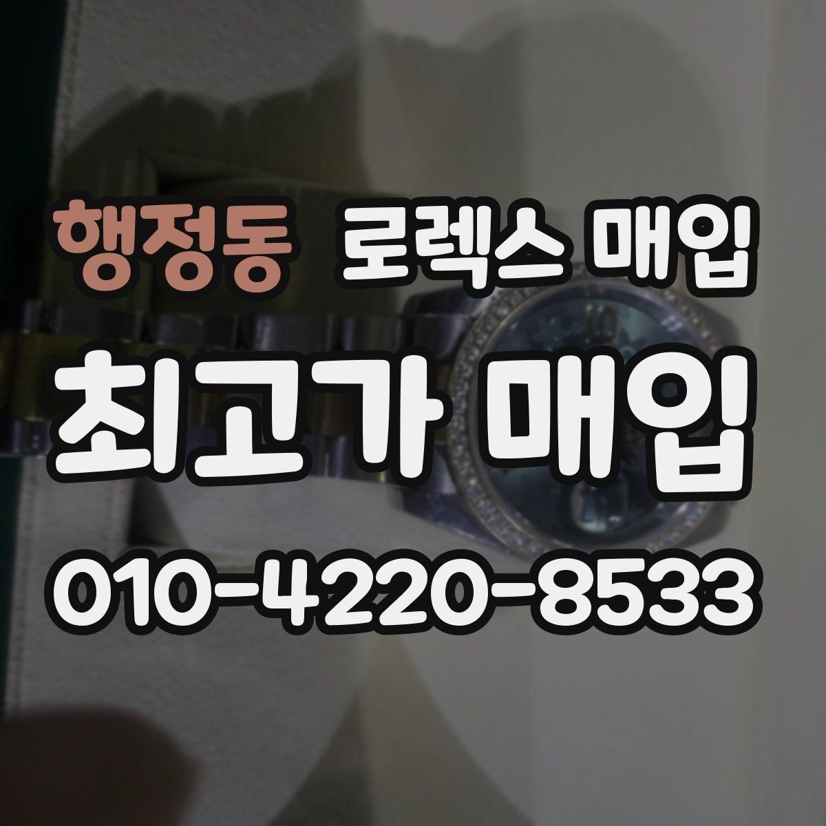 행정동 로렉스 매입 단종 모델 시세 확인 포인트