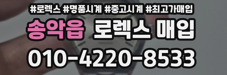 송악읍 로렉스 매입