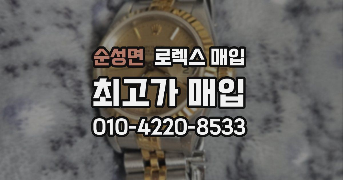 순성면 로렉스 매입