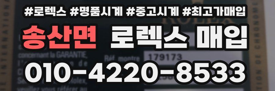 송산면 로렉스 매입