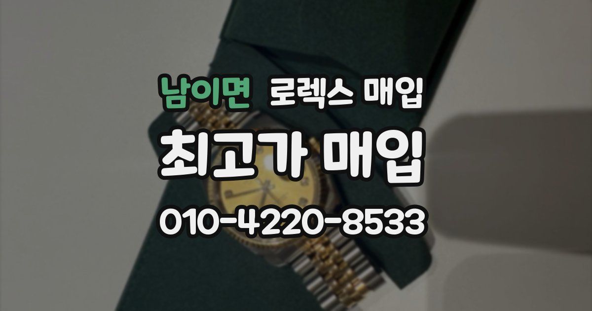 남이면 로렉스 매입