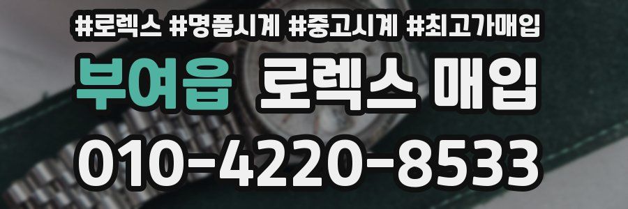 부여읍 로렉스 매입