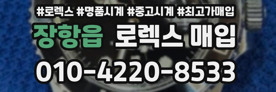 장항읍 로렉스 매입