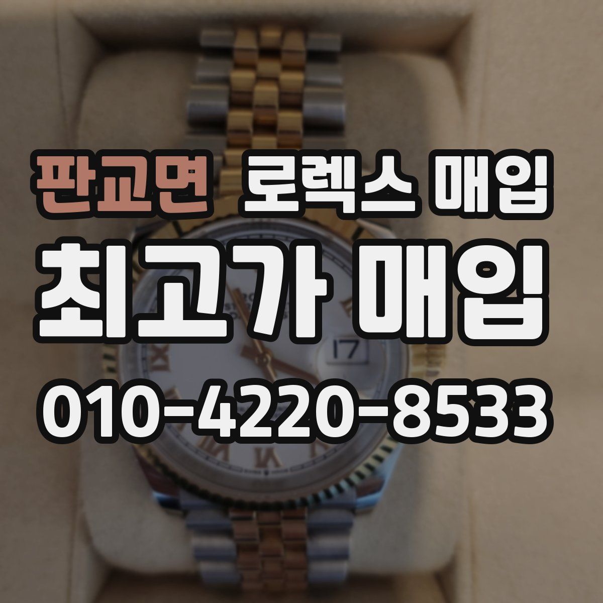 판교면 로렉스 매입