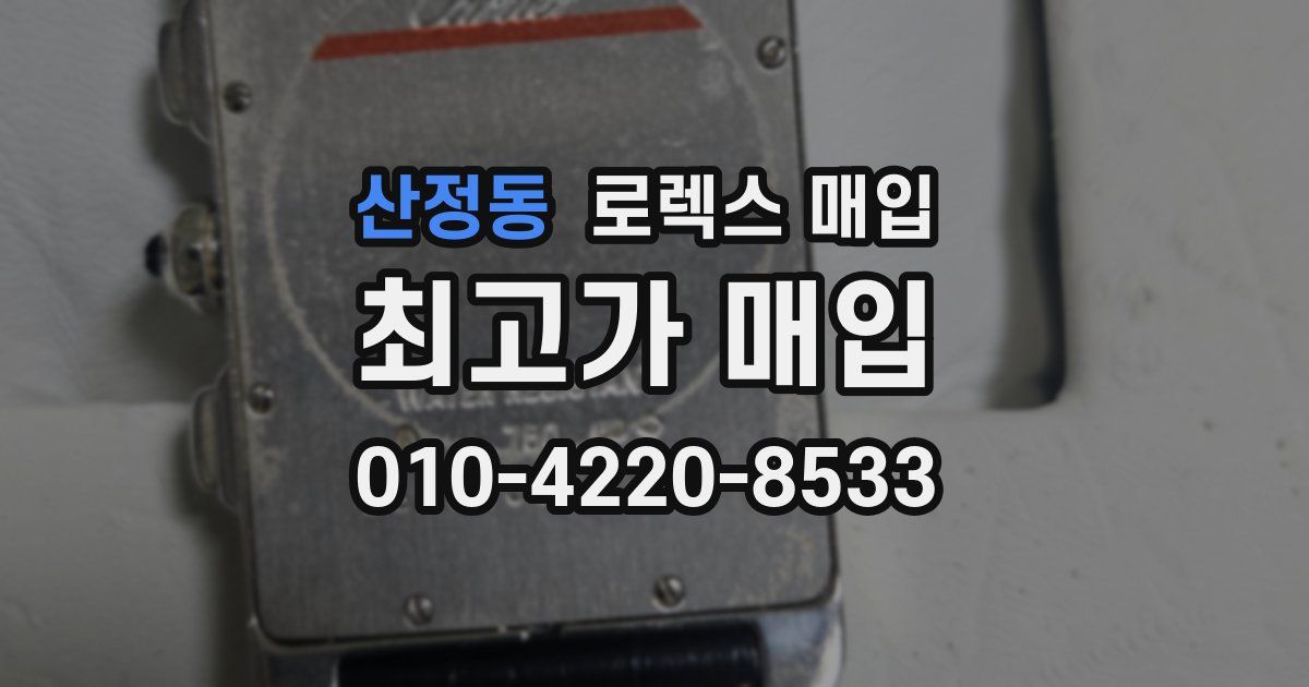 산정동 로렉스 매입