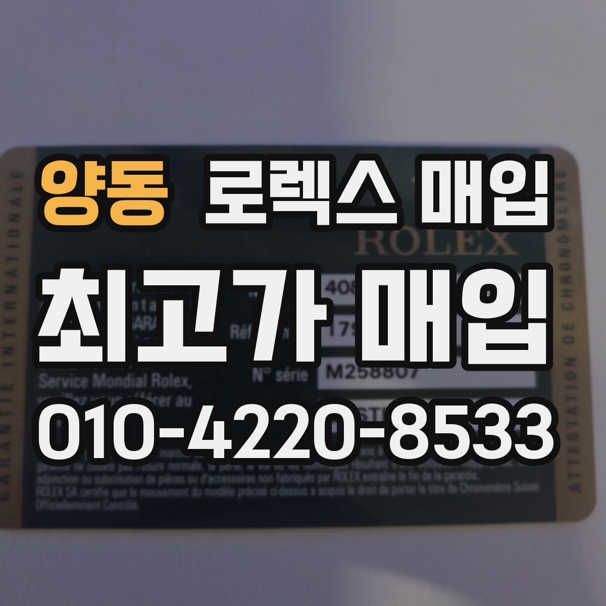 양동 로렉스 매입