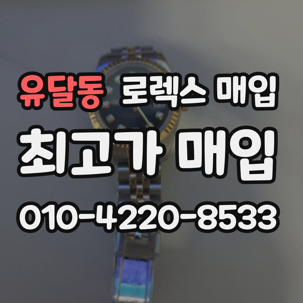 유달동 로렉스 매입