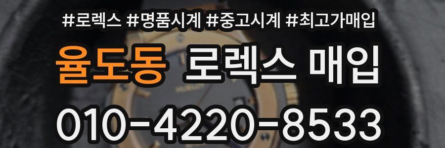 율도동 로렉스 매입