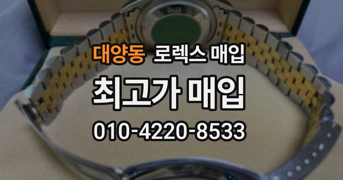 대양동 로렉스 매입