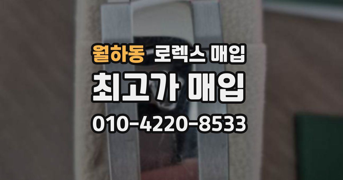 월하동 로렉스 매입