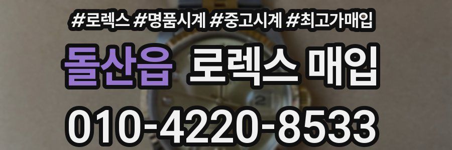 돌산읍 로렉스 매입