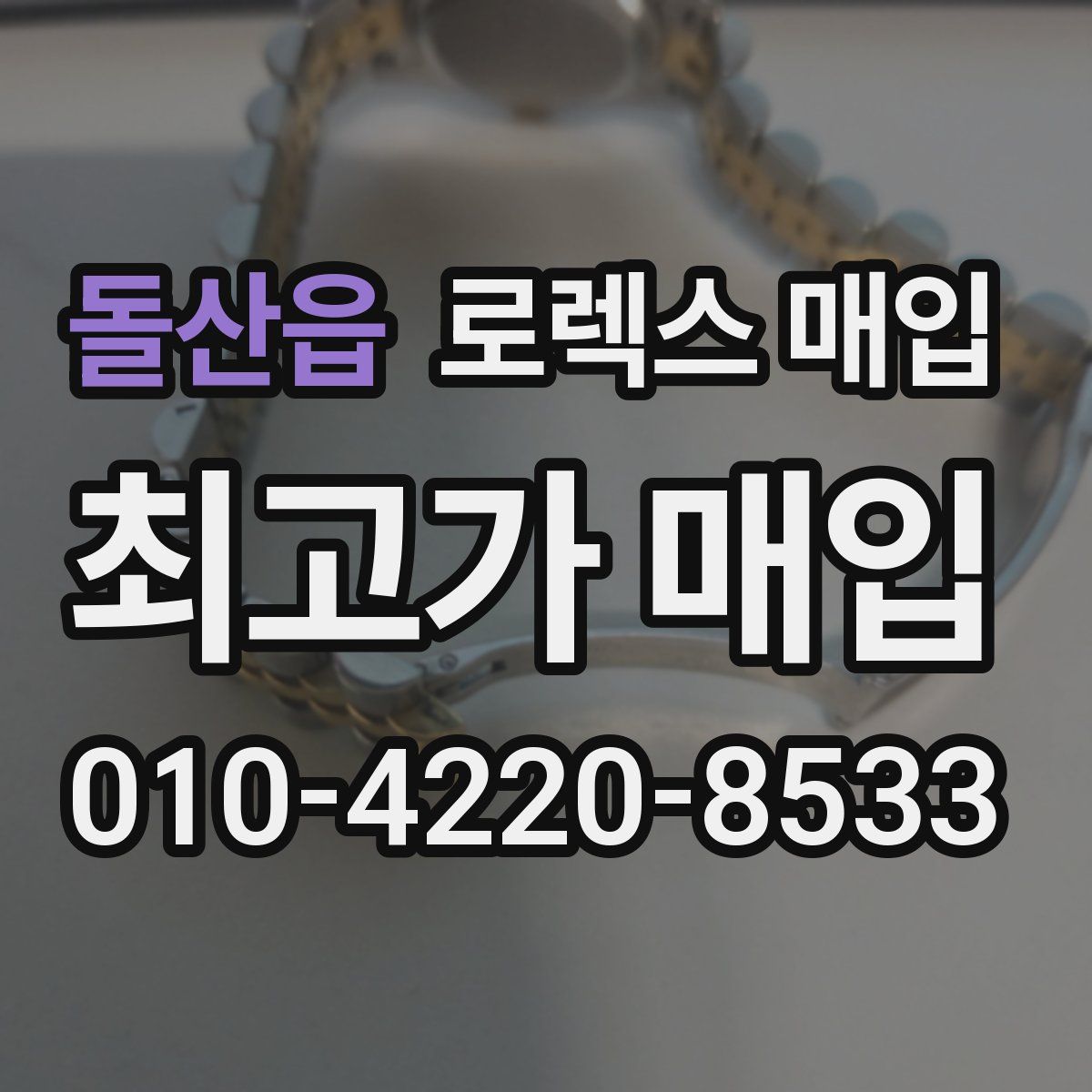 돌산읍 로렉스 매입